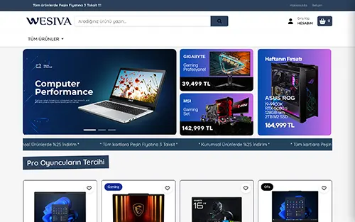 Elektronik